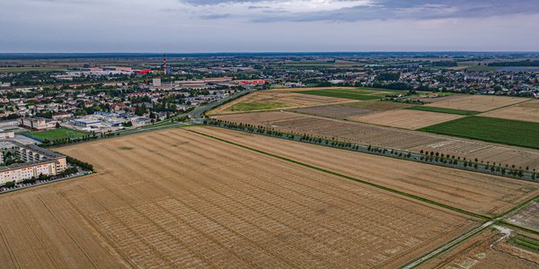 NIK: Starostwa tracą miliony — 2/3 gruntów Skarbu Państwa bez nadzoru