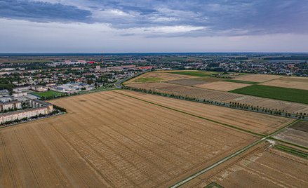 Do Skarbu Państwa należy ponad 10 mln ha gruntów.