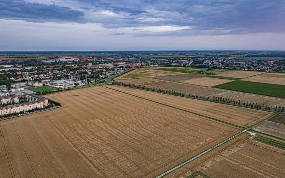 Do Skarbu Państwa należy ponad 10 mln ha gruntów.