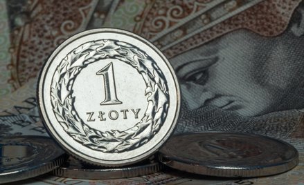Rada nie powinna w tym tygodniu wstrząsnąć złotym