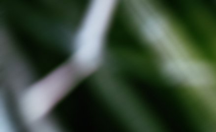 Ekstraklasa. W Krakowie o pozycję lidera