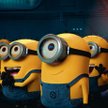 Brawo dla realizatorów za stworzenie przezabawnych Minionków