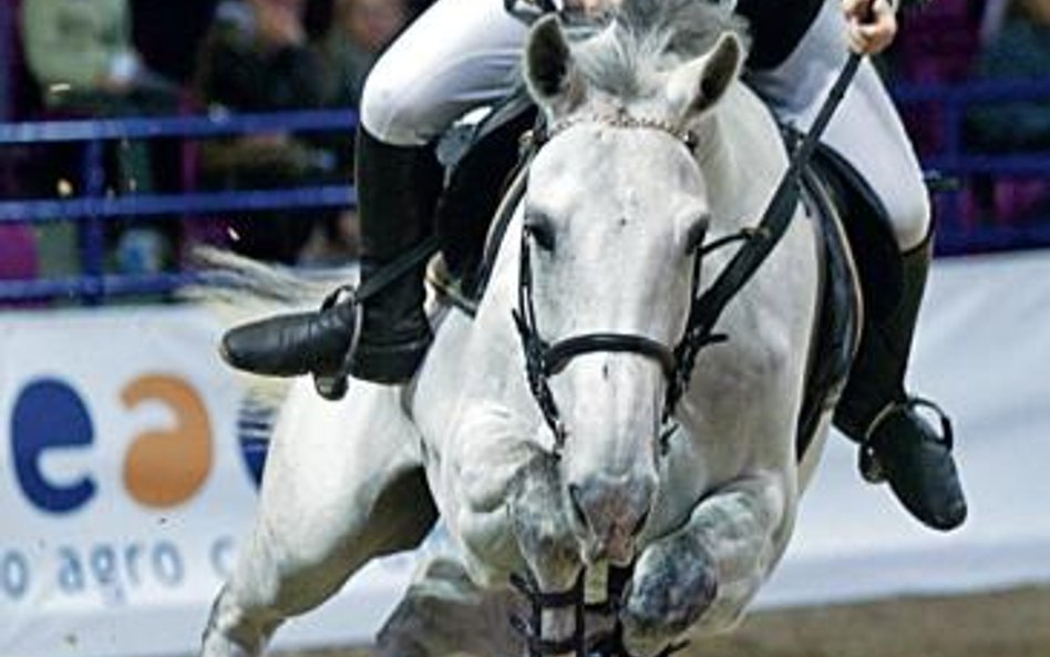 Torwar, rok 2004. W akcji Juraj Hanulay na koniu Kentaur Wiener Wald. W konkursie Grand Prix prezent
