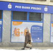 Starania PKO BP o przejęcie BZ WBK mają wsparcie polskiego rządu