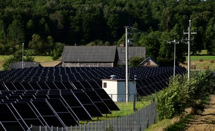 Farma fotowoltaiczna na polu we wsi Zalesie koło Żerczyc