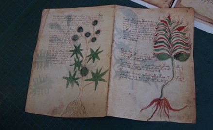 Manuskrypt tajemnic przybył do Polski