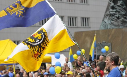 François Alfonsi: Europa powinna poprzeć Ślązaków