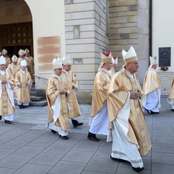 Biskupi biorący udział w Zebraniu Plenarnym Konferencji Episkopatu Polski