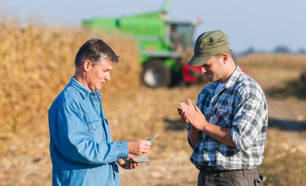 Przepisy ograniczające handel ziemią rolną biją w zasady wolego rynku