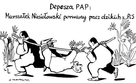 Komentarz rysunkowy. Depesza PAP