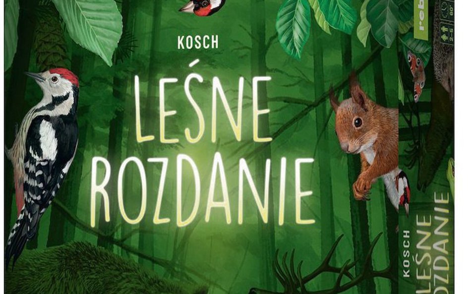 „Leśne rozdanie”: Wiewiórka nie przy sośnie