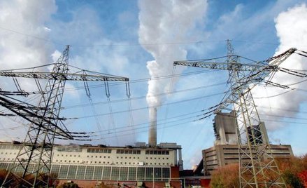 Zakłady Azotowe Puławy mają w planach budowę elektrowni o mocy 850 MW, a Azoty Tarnów aż trzech, z c