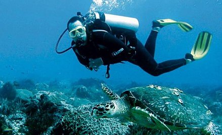 Krzysztof Tomaszek nurkuje dopiero od dwóch lat, ale podwodny świat obserwował już w Meksyku. – Zach