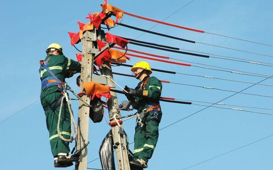 Energa ma nową ofertę dla firm