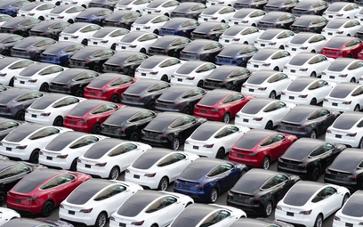Elon Musk buduje nową i największą na świecie fabrykę aut elektrycznych