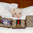 „Świńskie” kolekcje Louisa Vuittona i Gucci robią furorę w Chinach