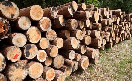 VAT: Sprzedaż bez wywozu z Polski może korzystać ze stawki 0 proc.