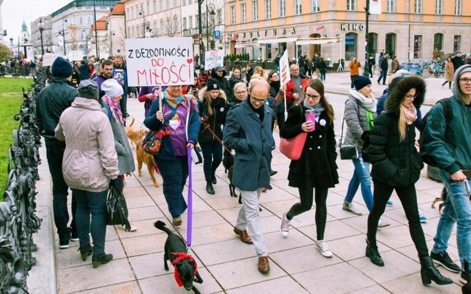 Marsz Kundelków 2018. Dziś psy wielororasowe też przejdą ulicami stolicy wraz ze swoimi opiekunami.