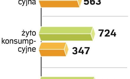 Zboże będzie tanieć