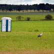 Mazury: cud mniemany