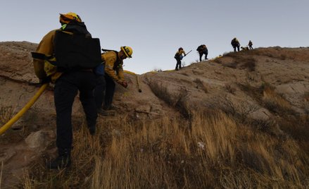 Pożar w Kalifornii. Milionerzy uciekają z posiadłości