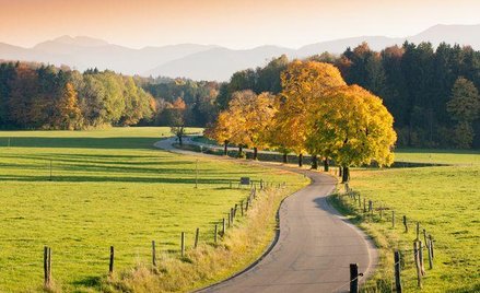 Dotacje unijne na ochronę środowiska dla samorządów