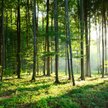 GDOŚ i RDOŚ zostaną przekształcone