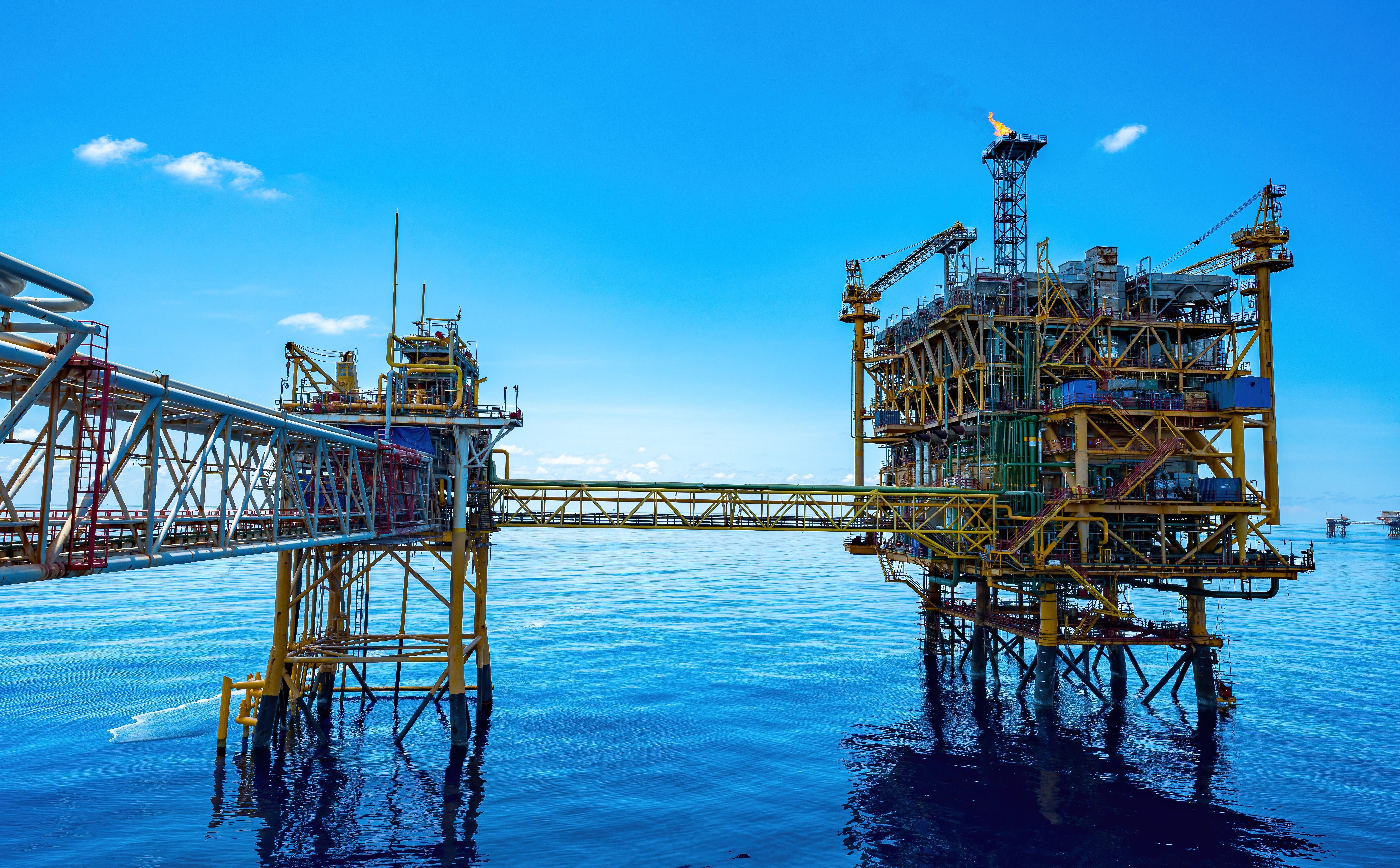 Firmy szykują się na różne scenariusze