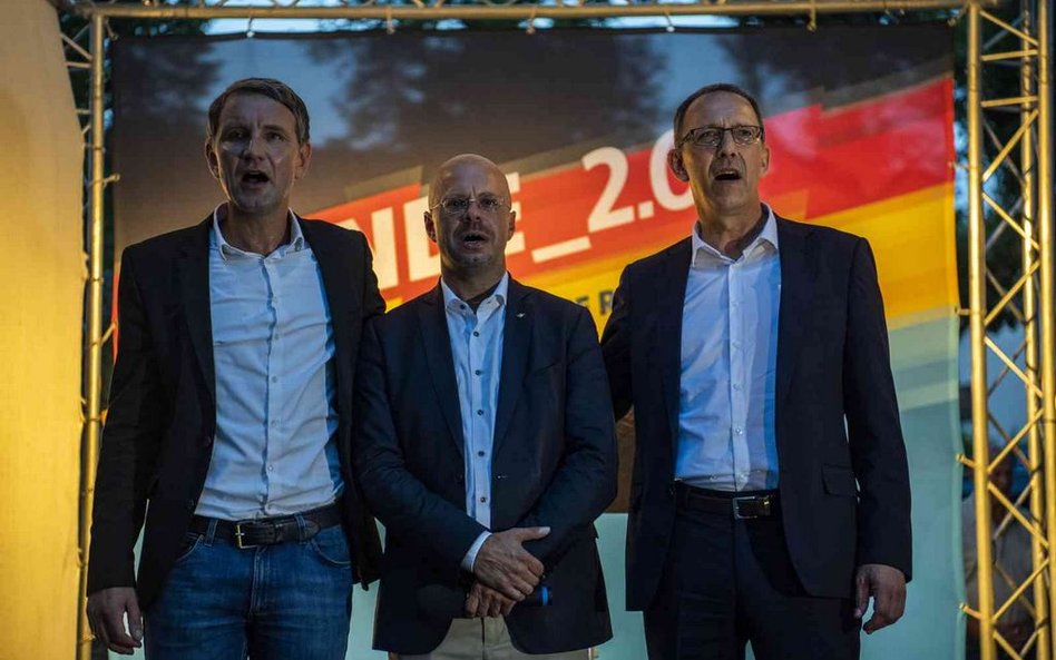 Niemiecki kontrwywiad zajmuje się AfD