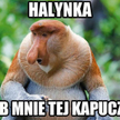 Janusz i Grażyna czyli kpiny z rodaków w internecie