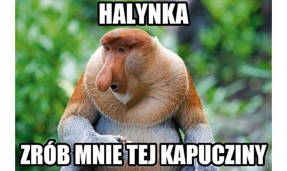 Janusz I Grażynka Rmf Kto Gra Grażynę Janusz i Grażyna czyli kpiny z rodaków w internecie - rp.pl