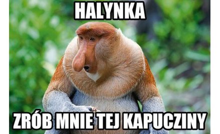 Janusz i Grażyna czyli kpiny z rodaków w internecie