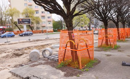 Posłowie uważają, że zmiana definicji drzew pomoże je chronić przy różnorakich inwestycjach