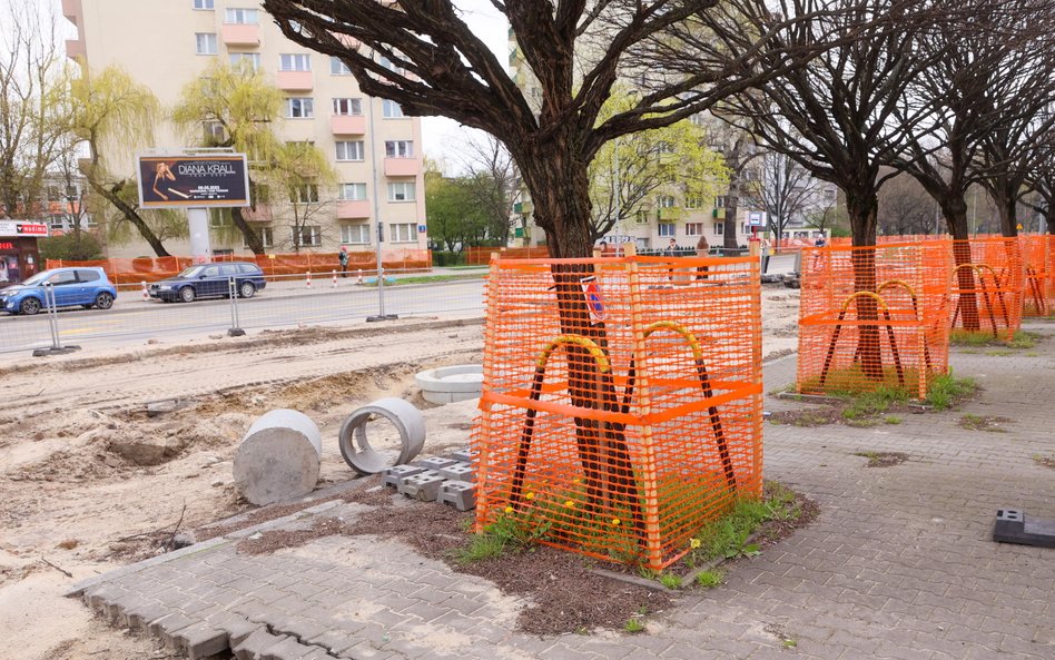 Posłowie uważają, że zmiana definicji drzew pomoże je chronić przy różnorakich inwestycjach