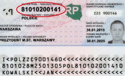 Spis powszechny: dlaczego mamy podawać PESEL przy samospisie i czy jest to bezpieczne?