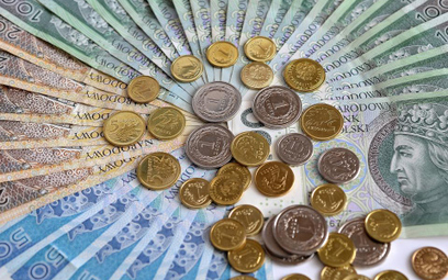 Akcjonariusze Asseco SEE zdecydowali o wypłacie 0,52 zł dywidendy na akcję
