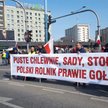 Protest kilkuset rolników sparaliżował ruch w centrum Warszawy