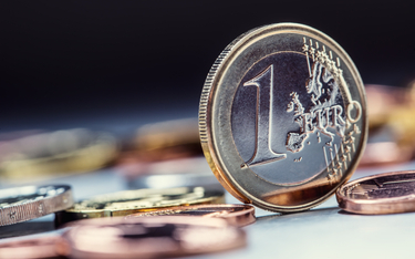 Euro znów wykazuje moc. Na co muszą uważać byki?