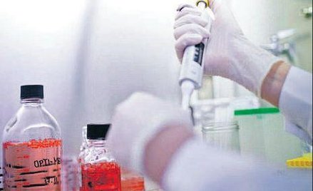 Coraz więcej dawców szpiku