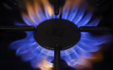 Mrożenia cen gazu dla małego biznesu nie będzie. Sejm odrzucił poprawki