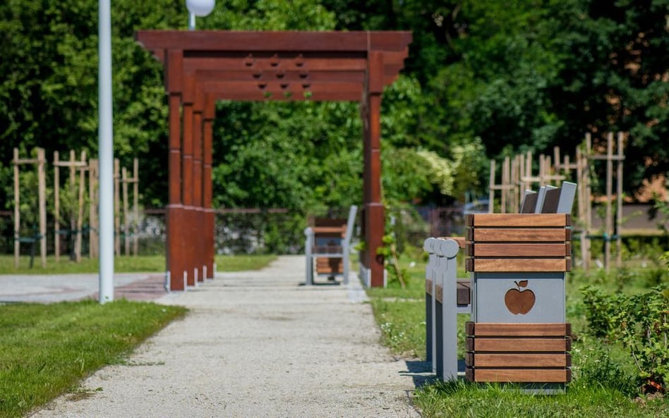 Wracamy do niegdyś bardzo popularnych ogrodów użytecznych, typowo polskich rozwiązań.