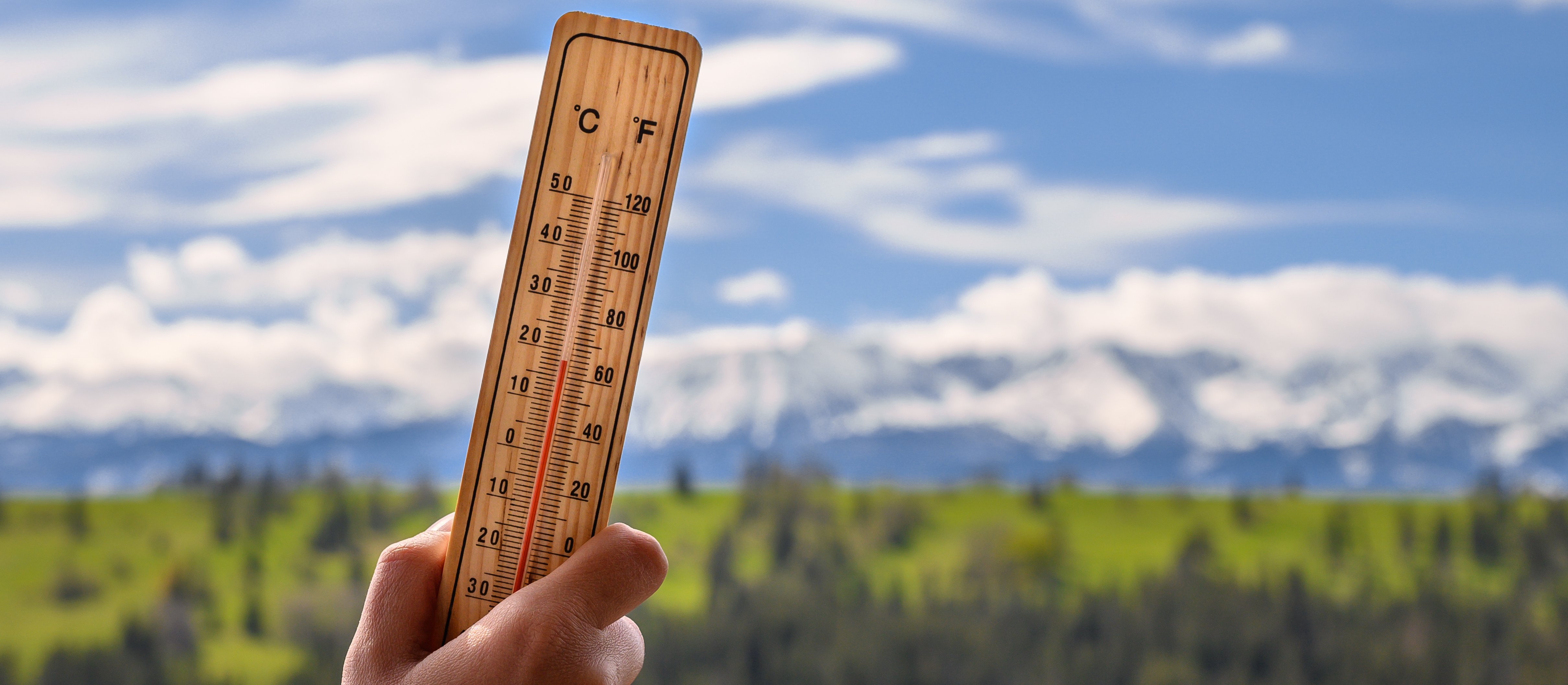 Jak długo utrzyma się wiosenna pogoda? Zaskakujące prognozy na początek marca