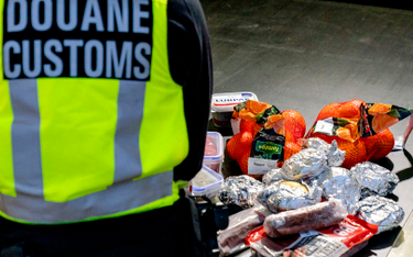 Holenderski celnik konfiskujący żywność przybywającym z Wielkiej Brytanii