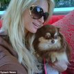 Paris Hilton i jeden z jej piesków