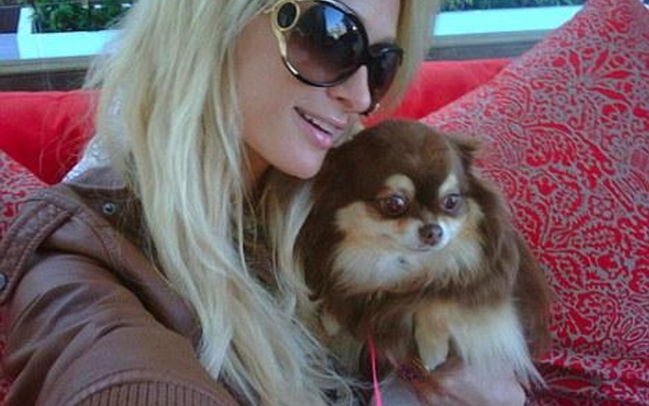 Paris Hilton i jeden z jej piesków