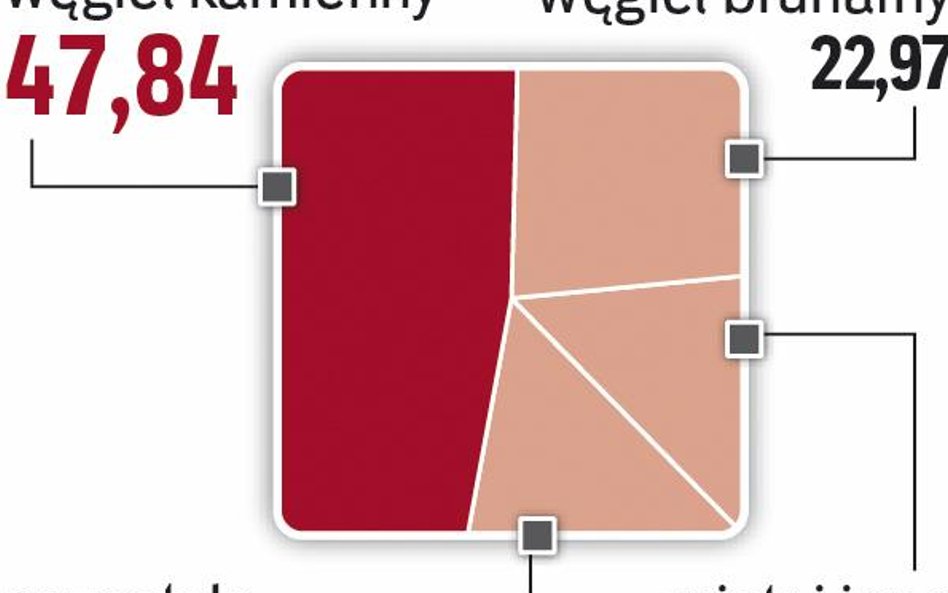 Wciąż brak strategii dla węgla brunatnego