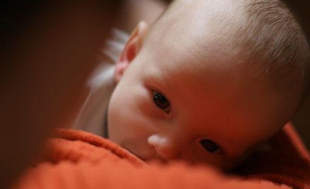 Macierzyński nie wyklucza sporadycznej pracy