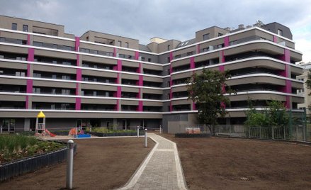 Dyrekcyjna 33 mieści się niedaleko wrocławskiego Rynku