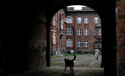 Giesche nie dostanie Katowic