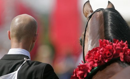 Aukcja Pride Of Poland: Lepiej niż przed rokiem, daleko do rekordu